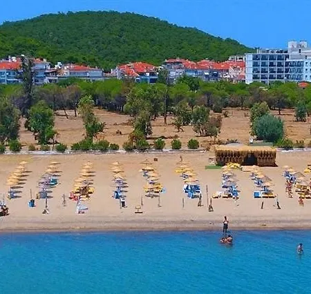 Ergin 2* Sarimsakli