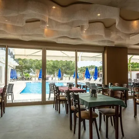 Ergin Sarimsakli
