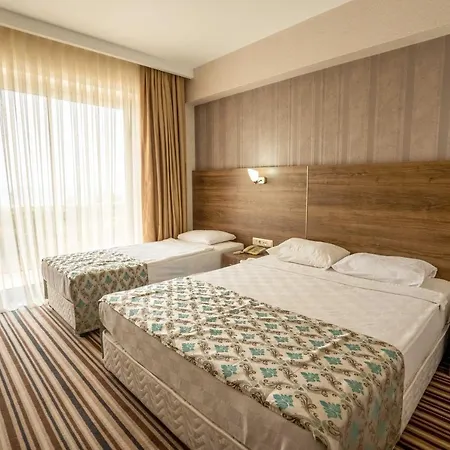 Ergin 2* Ayvalı