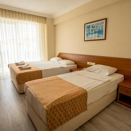 Ergin فندق